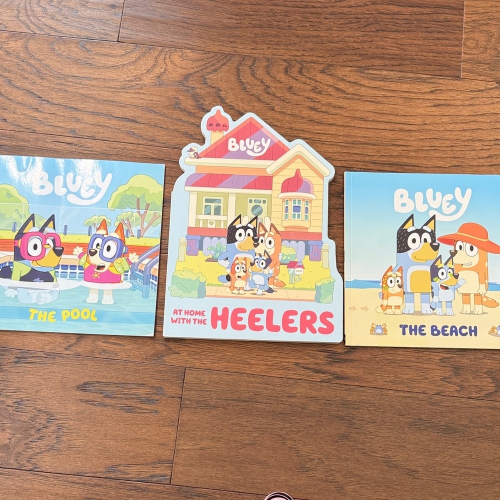 Bluey - the healers - Kids Book Set of 3